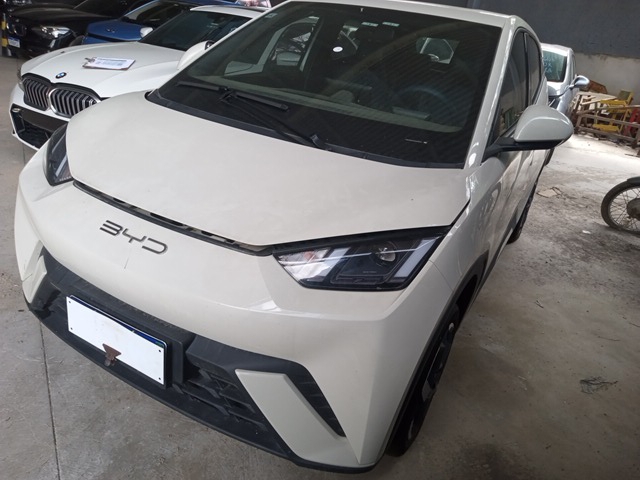 LOTE 099 DOLPHIN MINI GS EV 2023/2024  LOTE 099 DOLPHIN MINI GS EV 2023/2024