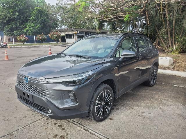 LOTE 010 CCROSS XRX HYBRID